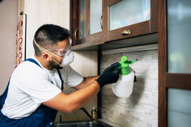 Best Pest Control Near Me  in Janesville, WI