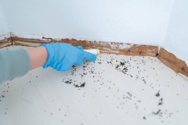 Best Best Pest Control Companies  in Janesville, WI